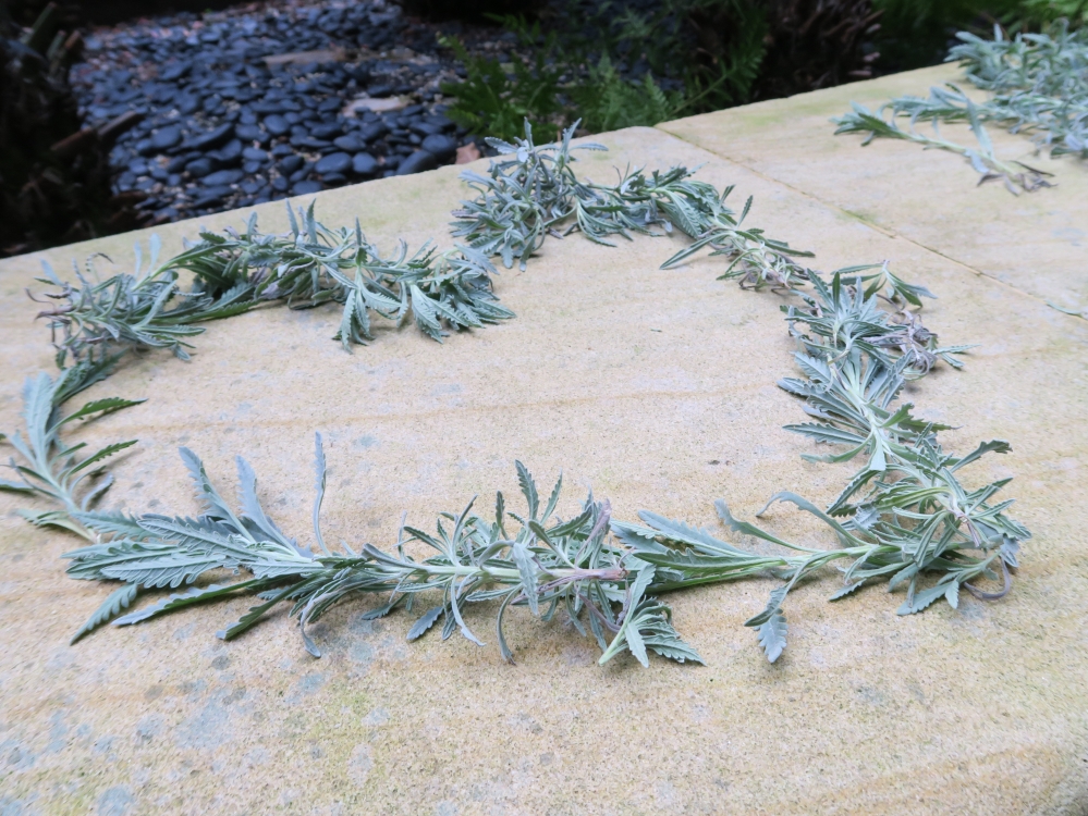 Picture of a heart made of lavender leaves and branches