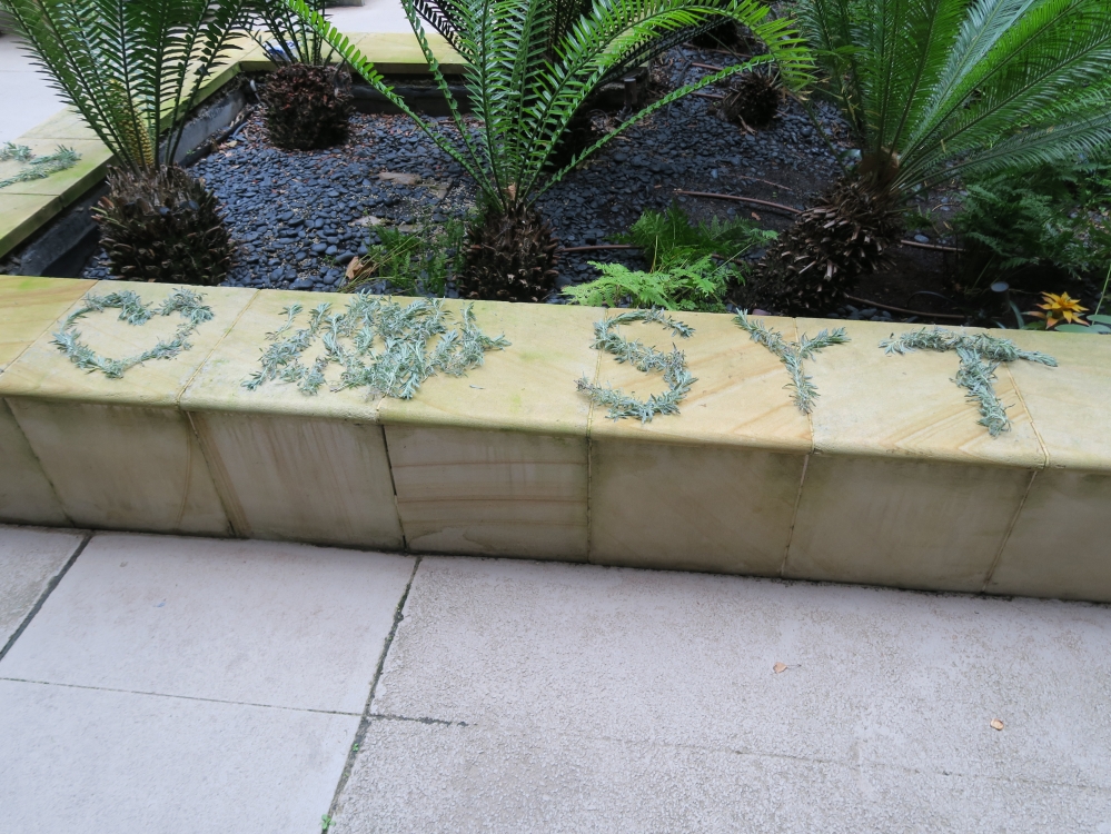 Picture of a heart and letters SYT made of lavender leaves and branches