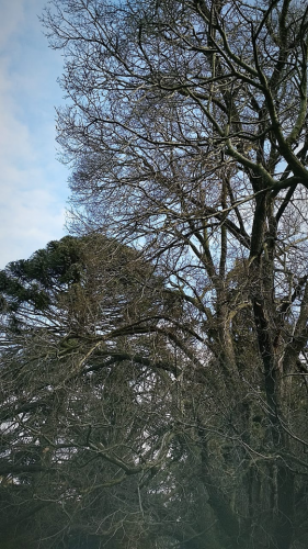 random bursts