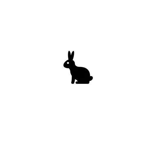 2019-03/rabbit