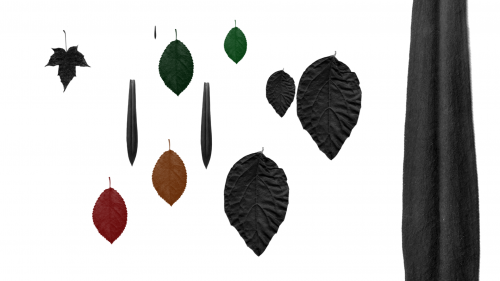 2019-04/artboard-1-leaves-forest