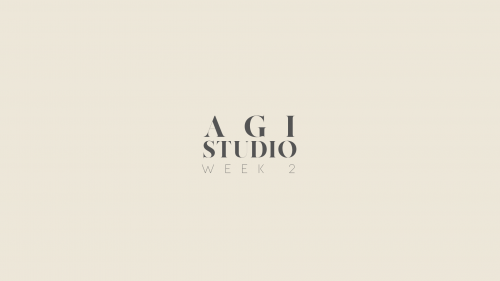 2020-04/agi-week-2
