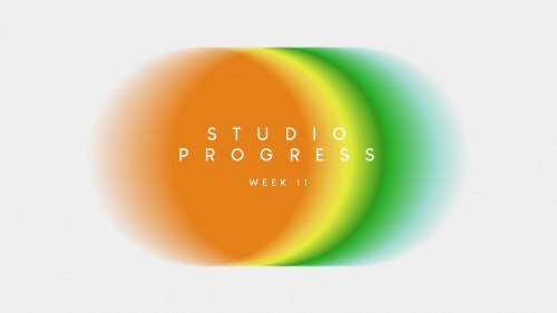 2020-05/progress-week-11