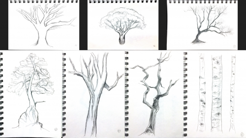 2020-06/tree-sketches