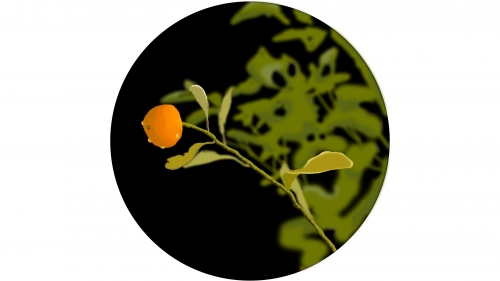 2020-04/1585816066_cumquat-tree