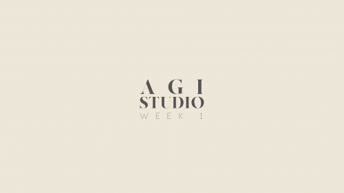 2020-04/agi-week-1