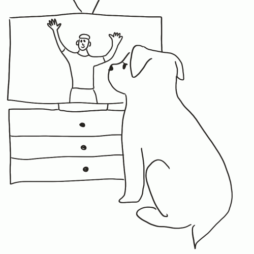 2020-04/dog-tv