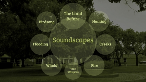 2020-05/soundscapes-slide