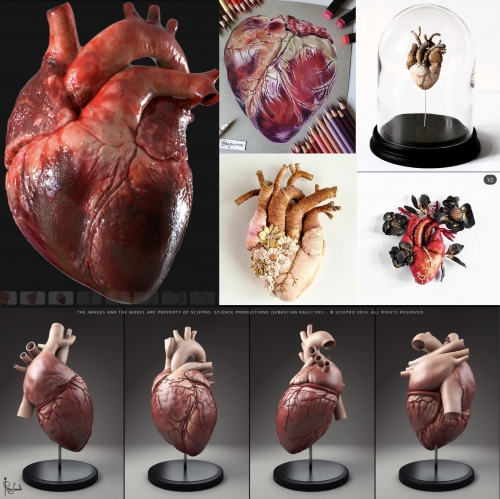 2020-06/moodboard-3d-heart-01