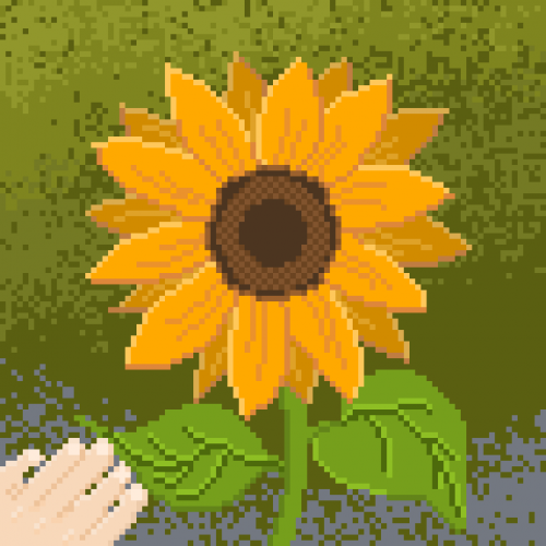 2021-07/sunflower-1
