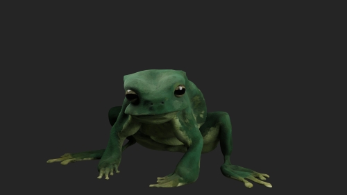 2021-10/frog