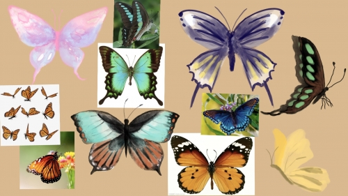 2022-05/butterfly-design-board