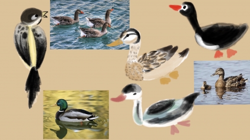 2022-05/duck-design-board